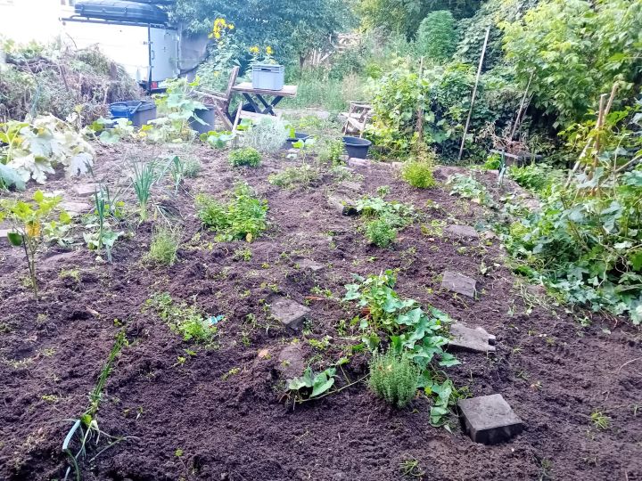 Report Garden 2025